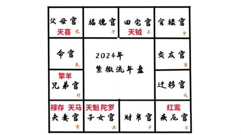 2024 八字 運勢|震豐八字：2024年運解讀之地支篇